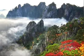 子夜荐读 | 即刻出发，为时不晚图片