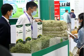 2020中国奶业20强(D20)峰会：奶业振兴迈出坚实步伐图片