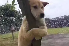 女子凌晨听见床底有手机响动，往床底一照：一个陌生男人……图片