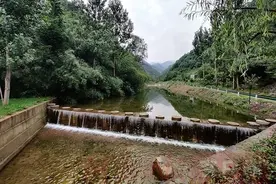 百名记者进百村丨糊涂面里有春秋图片