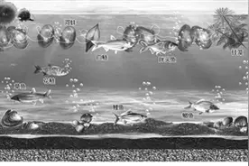 80万河蚌大军“治水记”杭州拱墅区探索“智能生物链靶向治水”图片
