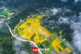 航拍大别山腹地岳西县：青山绿水入画来，脱贫奔康千万家丨百城千县万村调研行·图集图片