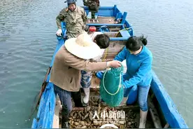 烟台海参“游”向深蓝⑧｜海洋牧场：打好海参牌还得会吆喝图片