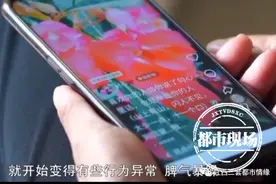 61岁大妈称要嫁给演员靳东：他向我“表白”！靳东工作室回应图片