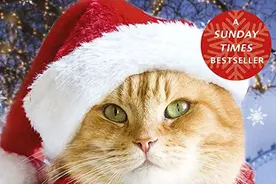 流浪猫鲍勃“遗作”《鲍勃的圣诞礼物》英国11月6日上映图片
