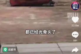 无名尸惊现四川资阳下水道 被用食品袋分装，打开全是骨头图片