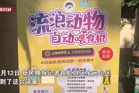 小区中“流浪动物自动喂食机”火了！居民一脸懵：“我们不知情！”网友吵翻了 设备主人回应……你怎么看？图片