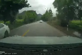 险！7岁男孩突然冲出路面，被小车撞到腾空飞摔出2米图片