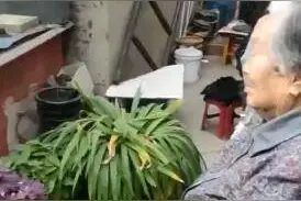 太温暖！儿女向94岁母亲花式拜寿图片