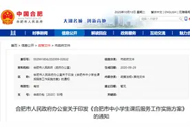 严禁借机集体补课！合肥市中小学生课后服务工作实施方案出台图片