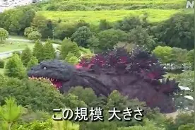 日本兵库现哥斯拉 游客可吊威亚进入“血盆大口”图片