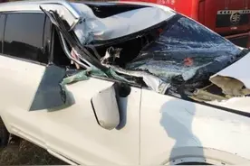 撞车致A柱断裂安全气囊却无一弹出？理想汽车回应车主“炮轰”图片