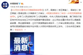 公民在庄重场合可佩戴国徽徽章图片