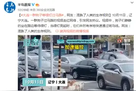 大连一群狗子等绿灯过马路，网友：混熟了人类的生存规则图片