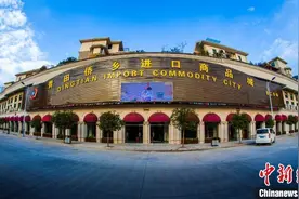 浙江青田：打好“侨”牌 华侨经济“生机勃勃”图片