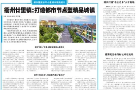 都市圈高水平小康样本镇街巡礼⑧衢州廿里镇：打造都市节点型精品城镇图片