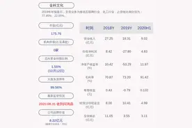 金科文化：预计2020年前三季度净利润6.6亿元~7.48亿元，同比增长2.94%~16.67%图片