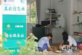 脱贫攻坚·重庆故事 |“蛋妈妈”余琴：干起电商，帮全村卖土鸡蛋图片
