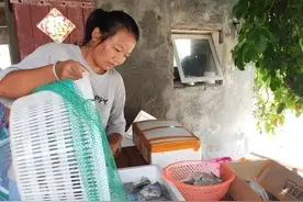 当一回大海的孩子，解锁惠安新玩法——赶海图片