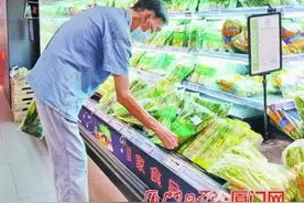 有机 绿色 无公害 哪个才是你的“菜”？图片