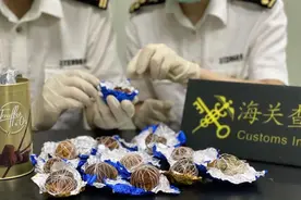 泉州海关在申报品名为“巧克力”的包裹内查获牛黄图片