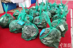 节后日销量不足节前一半 阳澄湖大闸蟹遭“冷遇”？图片