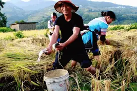 红河州推出3首脱贫攻坚歌曲，第二首来啦图片