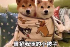 降温啦该穿秋裤了图片
