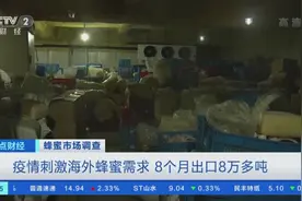 我国蜂王浆产量占全球90%以上！疫情刺激海外蜂蜜需求，8个月出口超8万吨蜂蜜图片