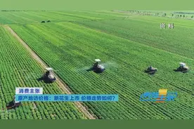 提前抢疯了？一度涨到6元/斤！“花生”了啥？图片