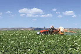 定西脱贫三章图片