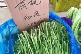 后浪变前浪，一定会被拍死在沙滩上吗？未必……图片