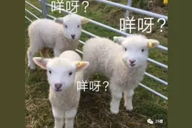 杭州一小伙在公司蹭电蹭空调结果被辞退，网友吵翻了图片