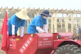 「县区动态」临沂兰陵县推广大蒜机械化种植 提升农机现代化水平图片