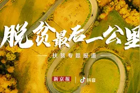 松阳养蜂男团抖音“出道”，年销家乡蜂蜜超千万元图片