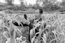 武乡：脱贫后的幸福看得见摸得着图片