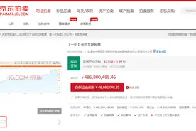 束昱辉旗下武清村镇银行、金财互联股份等将拍卖：莱商银行欲接手图片