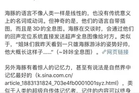 听说海豚聊天都是自带表情包的？不，人类想多了图片