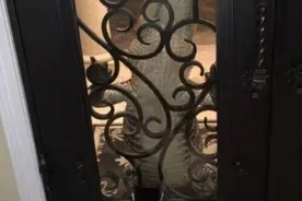 鳄鱼趴在门玻璃上 小猫淡定与其对峙图片