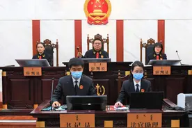 红通人员白静贪污违法所得没收案一审开庭图片