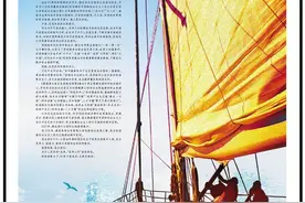 为什么是深圳？图片