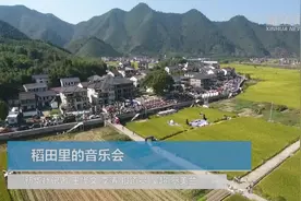 稻田里的音乐会