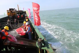 北海炼化公司帮助1062名贫困户脱贫摘帽图片