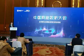 蜻蜓FM创始人张强：未来导航或将成为车载收音机的替代品图片