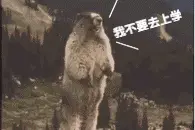 万万没想到！逃学竟然还能用这招？图片