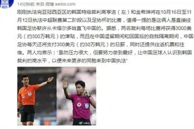 博主：两韩国籍裁判将前往中超执法，单场3000美元+日薪300美元图片