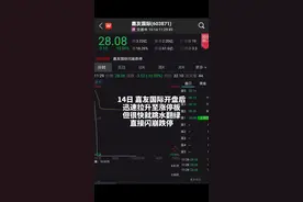 中国财富报道|又见闪崩 "杀猪盘"震惊A股视频封面