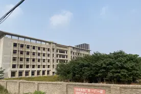 河北“明星”芯片厂夭折：省重点项目、海外专家、公司仅建一栋楼就没钱了……图片