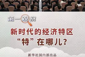 第一观察｜新时代的经济特区“特”在哪儿？图片