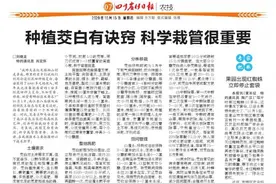 养稻桩鸭 注意防治鸭传染性浆膜炎图片